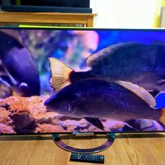 【動画あり】本日20時までのお引取りで終了 29000円→15000円 ソニー ブラビア SONY BRAVIA KDL-55W900A  55インチ 2014年式 ユーチューブ  観れます！の画像