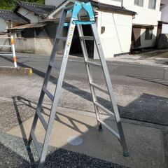 はしご兼用アルミ脚立 アルインコ GKN-180S