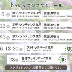 【金曜日朝開催 】行田公園パークヨガの画像