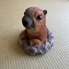 【未使用】プレーリードッグの画像