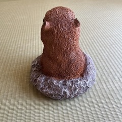 【未使用】プレーリードッグの画像