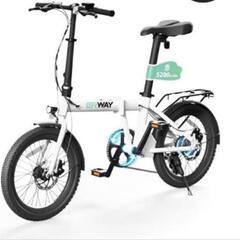 ERWAY-A01 型式認定済 電動アシスト自転車ebike eバイク