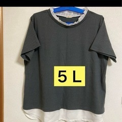 夏服レディース５Ｌ＆４Ｌ　2枚セットの画像