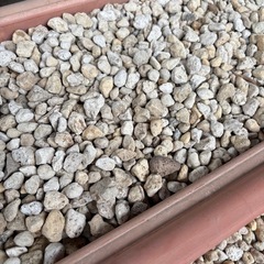 軽石　家庭菜園