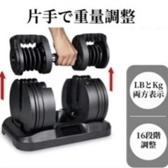 可変式ダンベル（2つ）の画像