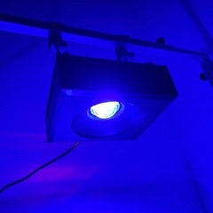 Red Sea Reef LED 90＋ハンギングキット｜約45％オフ・美品の画像