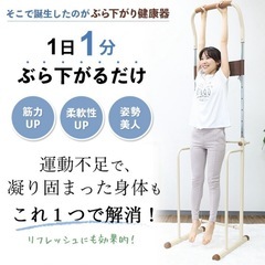 ぶら下がり健康器の画像