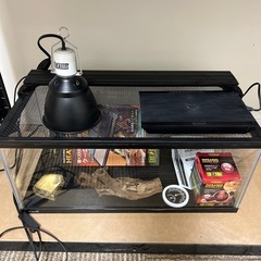 爬虫類飼育セット　マリーナ水槽LOWの画像