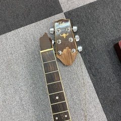 ギターエレキギター
の画像