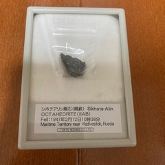 東京サイエンスシホテアリン隕石！
