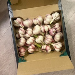 埼玉産生にんにく1kg
の画像