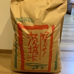 令和6年度生産【ミルキークイーン10kg】