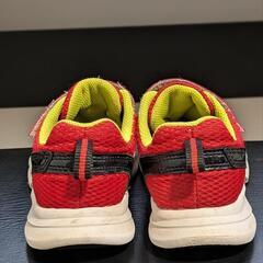瞬足　19センチの画像