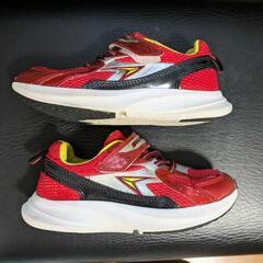 瞬足　19センチの画像