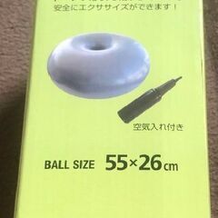 バランスボール　バランスクッション　エクササイズ　リハビリの画像