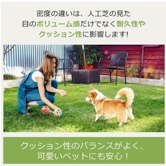 ✨新品✨人工芝ロール 1m×１０ｍ（芝丈３０ｍｍ）の画像
