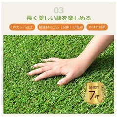 ✨新品✨人工芝ロール 1m×１０ｍ（芝丈３０ｍｍ）の画像