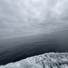 仲良くなれる友達探してます☀️の画像