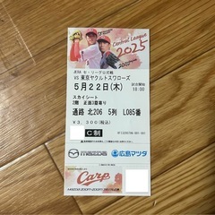 カープ　チケット　スカイシート