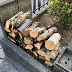 丸太の画像