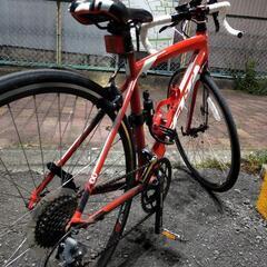 FELT　Z100サイズ51　直接取引のみ FELT Z100