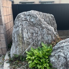 庭石無料で差し上げます　