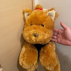 クマさんの画像