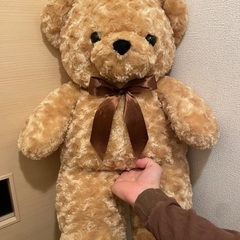 クマさんの画像
