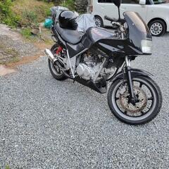 ホンダ　ゼルビス250の画像