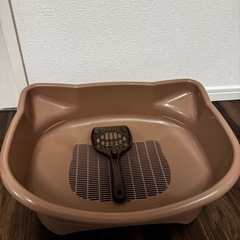 子猫用トイレの画像
