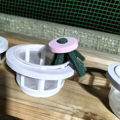メダカ容器　金魚容器の画像