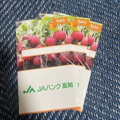 ラディッシュの種