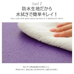 折りたたみ式ストレッチマットの画像