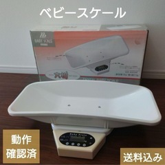 ベビースケール　大樹