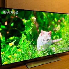 🔥募集中🔥️SONY 4Kスマートテレビ 49型‼️Netflix、YouTube、Amazonビデオ見れます‼️の画像