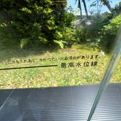 25cm角　キューブ水槽の画像