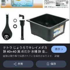 めだか容器　メダカ容器　金魚容器の画像