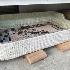 めだか容器　メダカ容器　金魚容器の画像