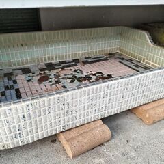 めだか容器　メダカ容器　金魚容器の画像