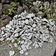引き取り限定 石 いし ロックガーデン