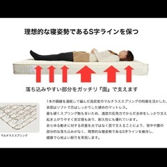 （取引中）【美品】フランスベッド製　ダブル　マットレスの画像