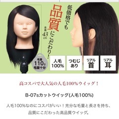 カットウィッグの画像