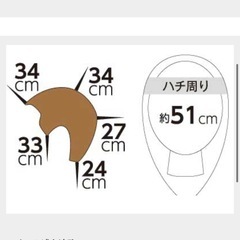 カットウィッグの画像
