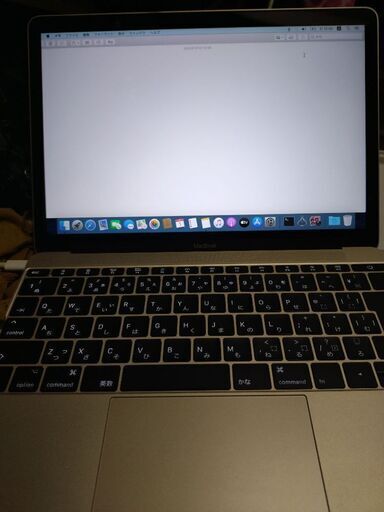 美品　MacBook Gold 12inch (2017) Core M3 1.2GHz/8GB/SSD 256GB レティナディスプレイ