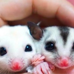 サクッと友達作りがリーズナブル会 - その他