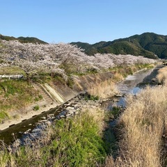 8日～11日で遊べる人