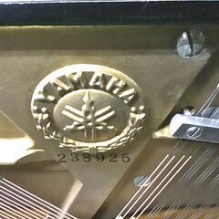 ヤマハU１D（中古）の画像