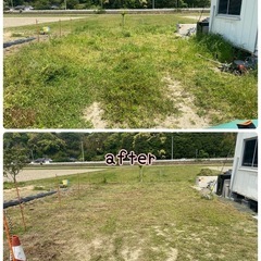 【期間限定！別府市周辺】草刈りや伐採など！ − 大分県