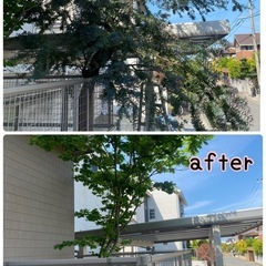 【期間限定！別府市周辺】草刈りや伐採など！ - 便利屋