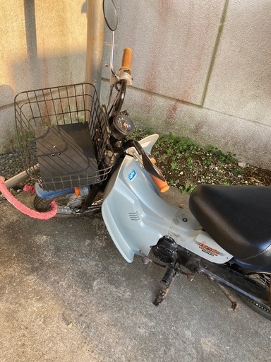 スズキ バーディー